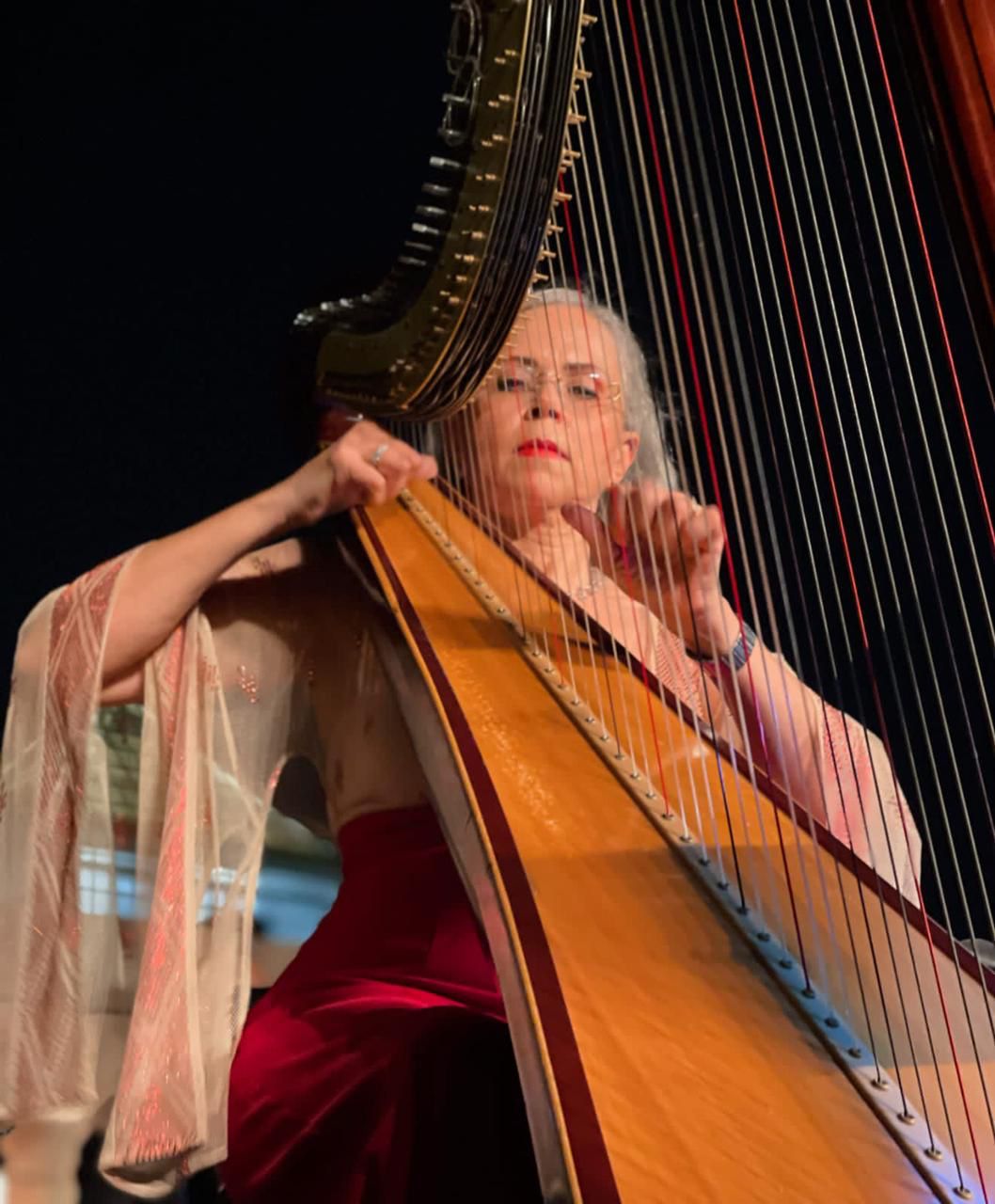 كلاسيكيات عالمية على هارب منال محى الدين بالاوبرا