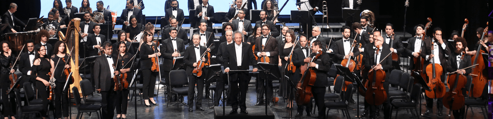 Cairo Symphony Orchestra